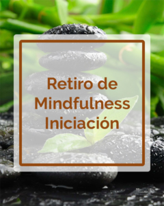 Retiro de Mindfulness - Iniciación - Talleres - Betsaida