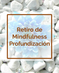 Retiro de Mindfulness - Profundización - Talleres - Betsaida