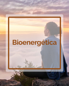 Bioenergética - Talleres - Betsaida