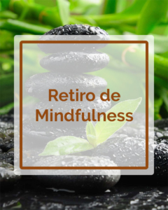 Retiro de Mindfulness - Talleres - Betsaida
