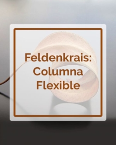 Feldenkrais - Columna Flexible - Talleres - Betsaida