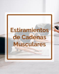 Estiramiento de Cadenas Musculares - Talleres - Betsaida